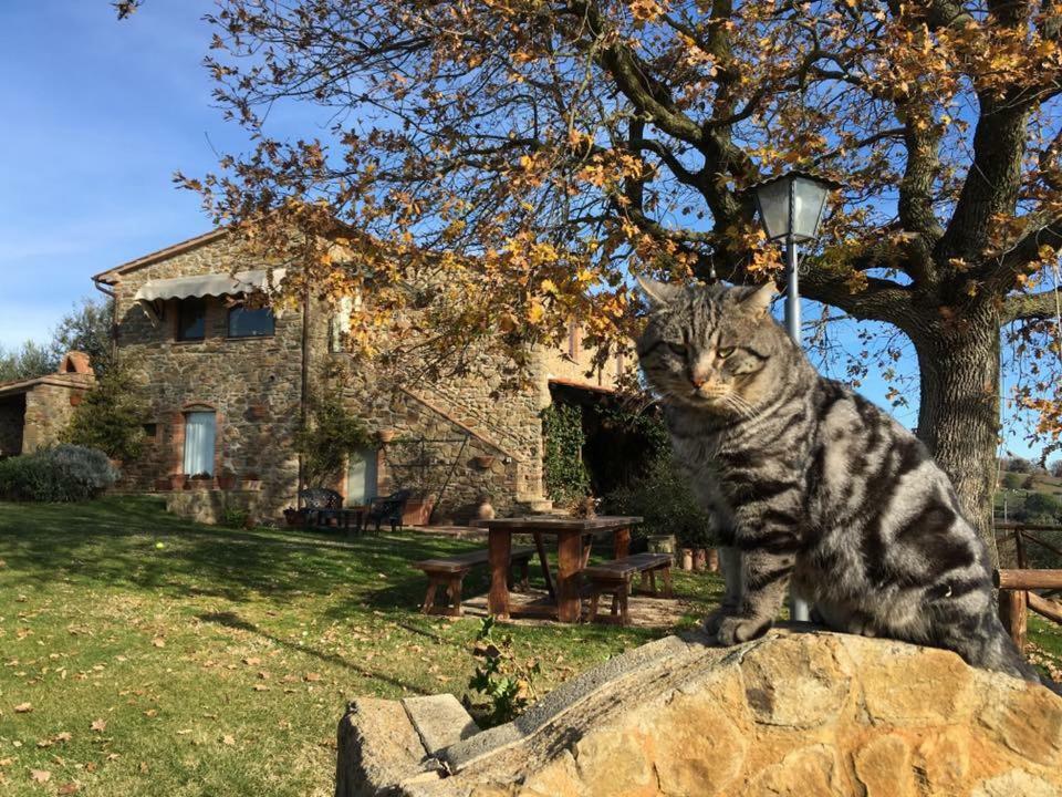 만시아노 Casale Giacomini B&B 외부 사진